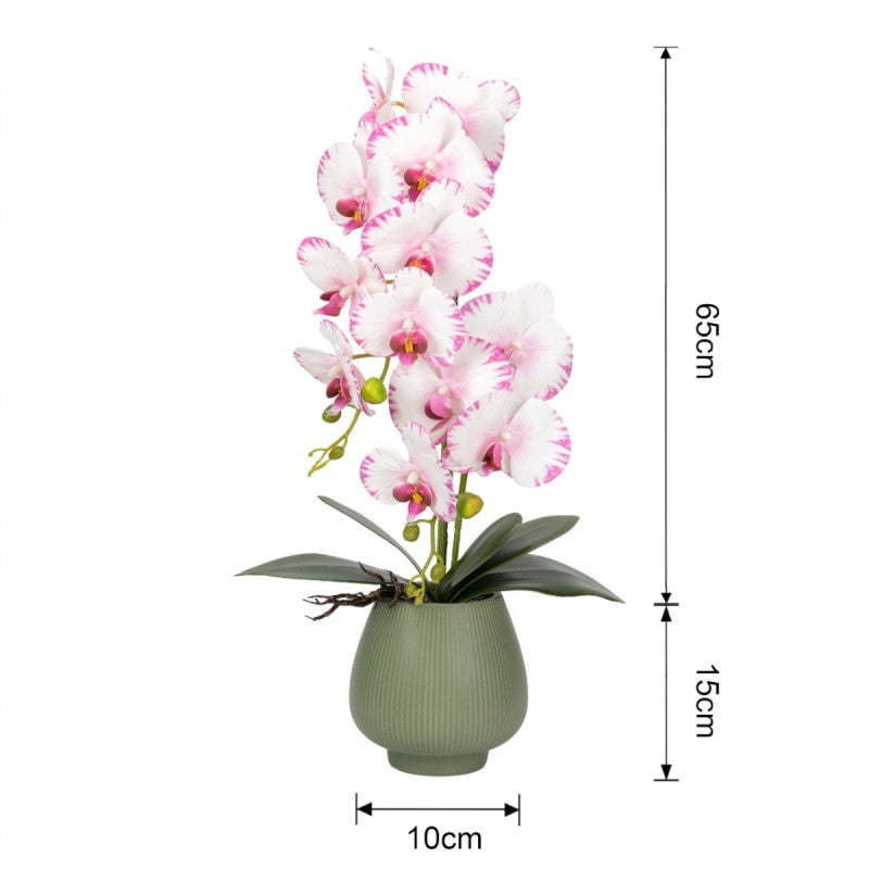 Orhidee cu Aspect Natural în Ghiveci Ceramic, 80 cm, Multiple Culori | D6903 / D6904 / D6905 / D6906