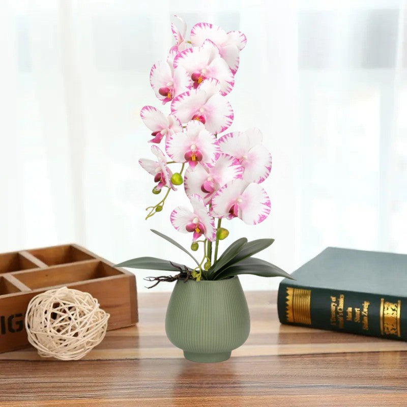 Orhidee cu Aspect Natural în Ghiveci Ceramic, 80 cm, Multiple Culori | D6903 / D6904 / D6905 / D6906