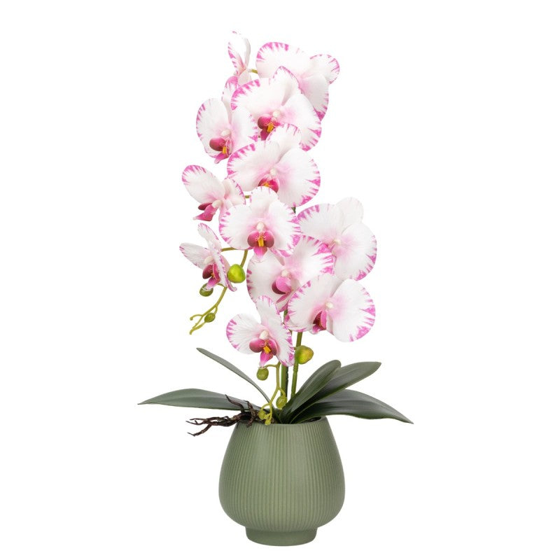 Orhidee cu Aspect Natural în Ghiveci Ceramic, 80 cm, Multiple Culori | D6903 / D6904 / D6905 / D6906