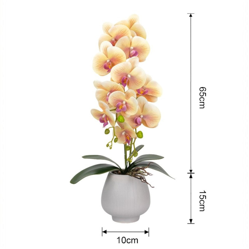Orhidee cu Aspect Natural în Ghiveci Ceramic, 80 cm, Multiple Culori | D6903 / D6904 / D6905 / D6906