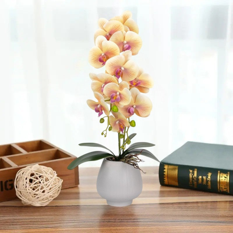 Orhidee cu Aspect Natural în Ghiveci Ceramic, 80 cm, Multiple Culori | D6903 / D6904 / D6905 / D6906