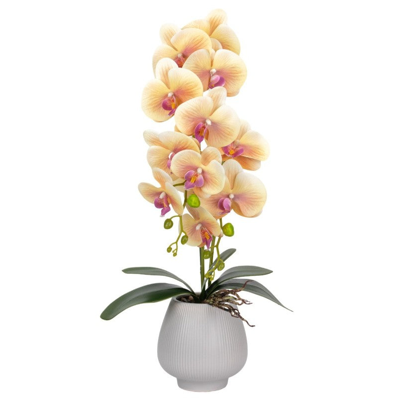 Orhidee cu Aspect Natural în Ghiveci Ceramic, 80 cm, Multiple Culori | D6903 / D6904 / D6905 / D6906