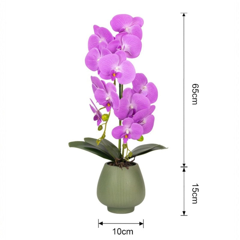 Orhidee cu Aspect Natural în Ghiveci Ceramic, 80 cm, Multiple Culori | D6903 / D6904 / D6905 / D6906