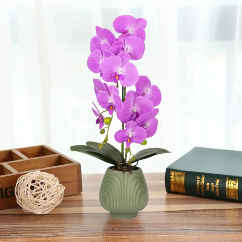 Orhidee cu Aspect Natural în Ghiveci Ceramic, 80 cm, Multiple Culori | D6903 / D6904 / D6905 / D6906