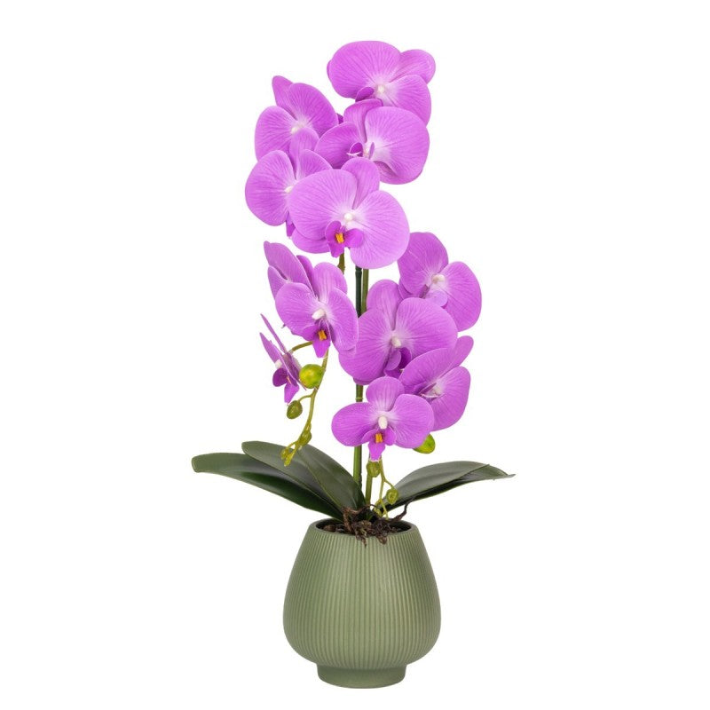 Orhidee cu Aspect Natural în Ghiveci Ceramic, 80 cm, Multiple Culori | D6903 / D6904 / D6905 / D6906