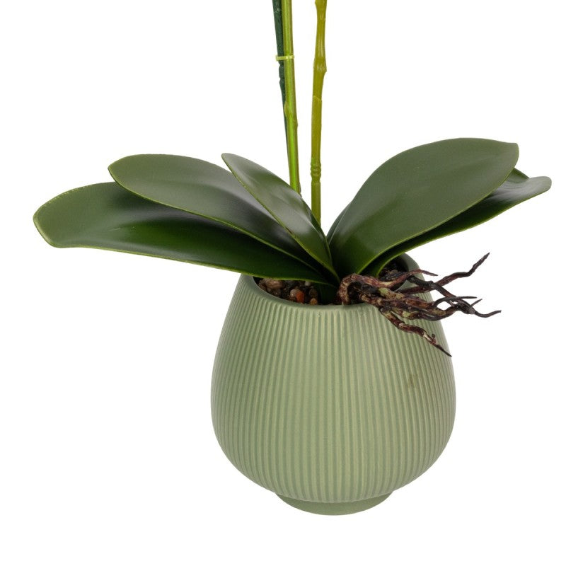 Orhidee cu Aspect Natural în Ghiveci Ceramic, 80 cm, Multiple Culori | D6903 / D6904 / D6905 / D6906