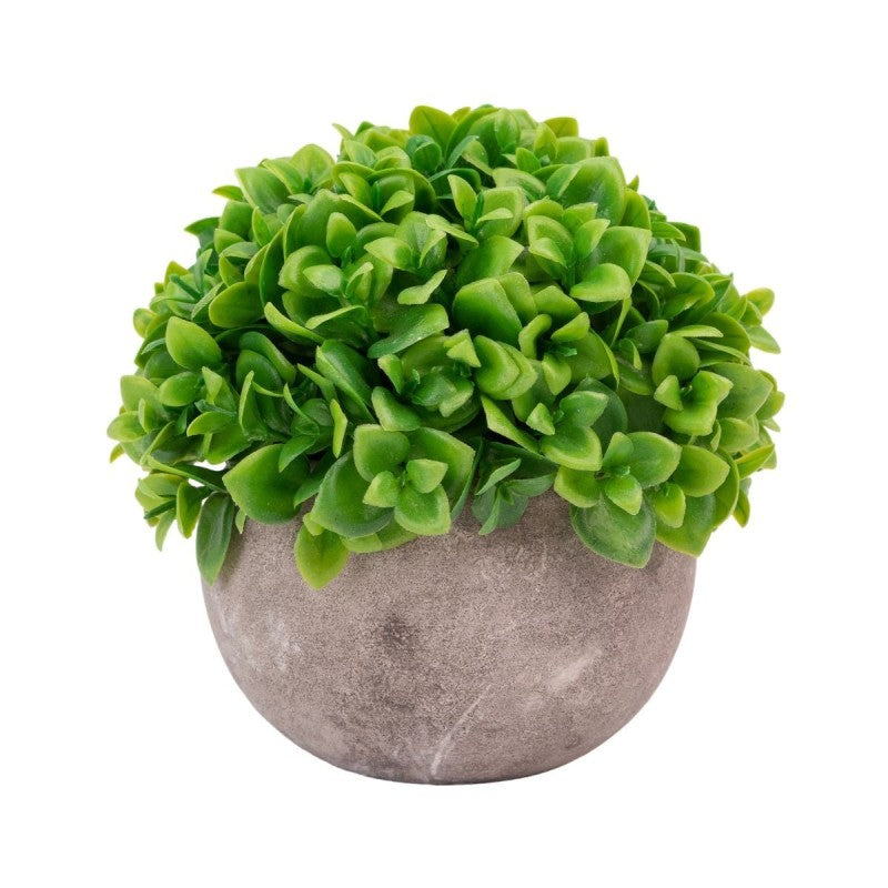 Pachet: 3 x Plante Artificiale, 12 x 10 cm, Verde ❘ D6933 / D6934 / D6935