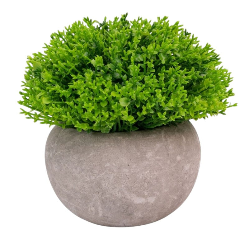 Pachet: 3 x Plante Artificiale, 12 x 10 cm, Verde ❘ D6933 / D6934 / D6935