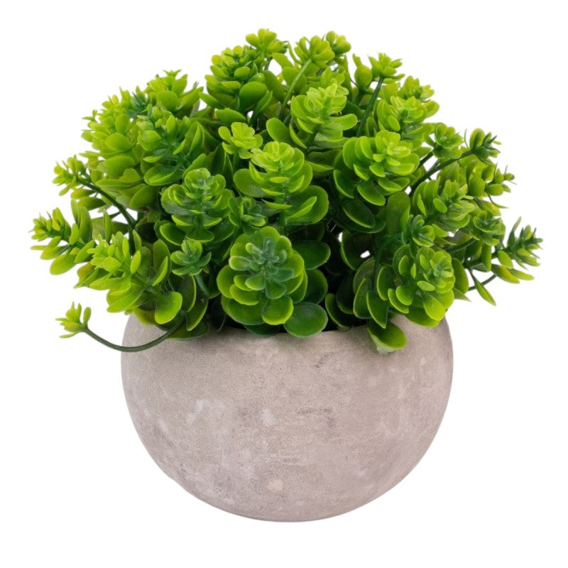 Pachet: 3 x Plante Artificiale, 12 x 10 cm, Verde ❘ D6933 / D6934 / D6935
