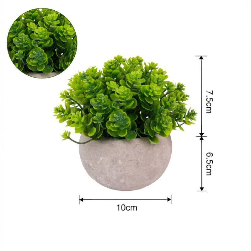 Pachet: 3 x Plante Artificiale, ghiveci de hârtie, 12x10 cm ❘ D6932 / D6935 / D6925