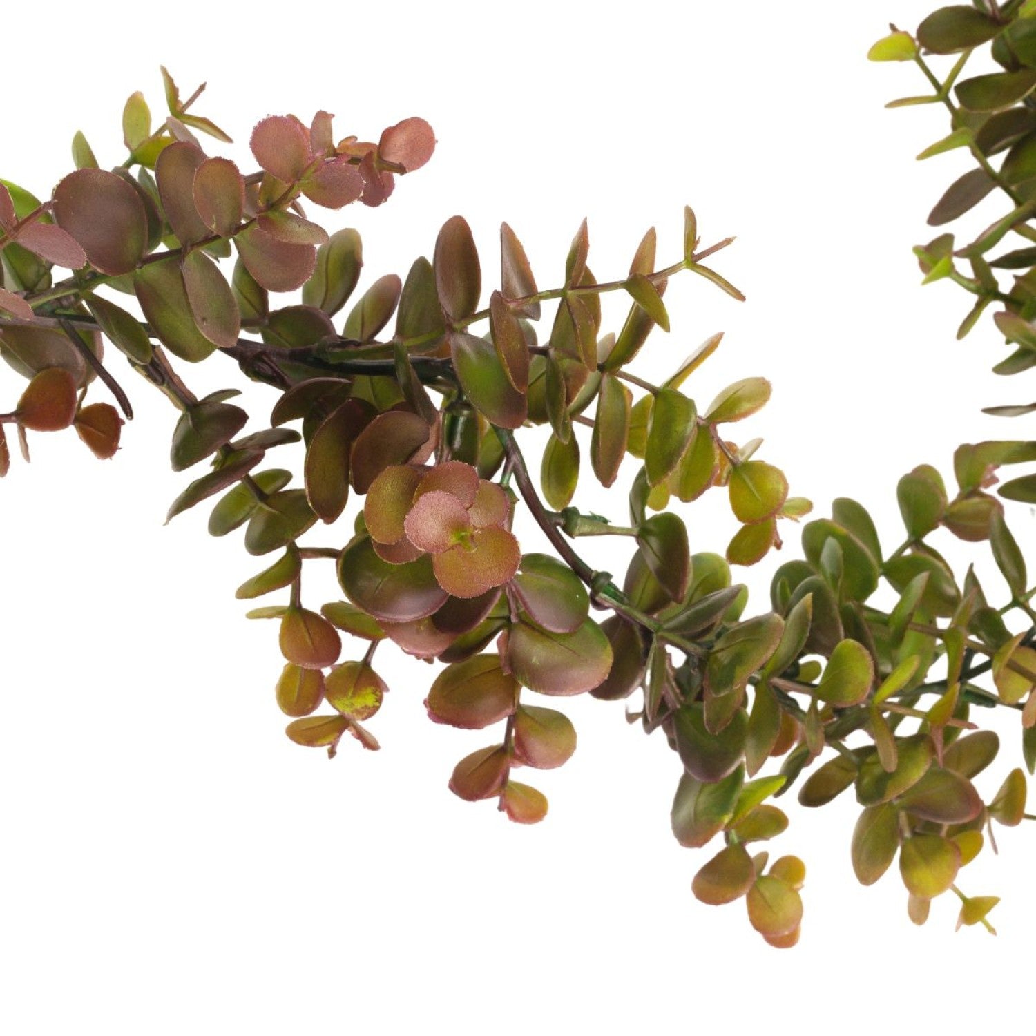 SET: Ghirlandă tip Eucalipt, 1.7 m, Maro + Cuier decorativ, 19 x 19 cm ❘ D7030/D54
