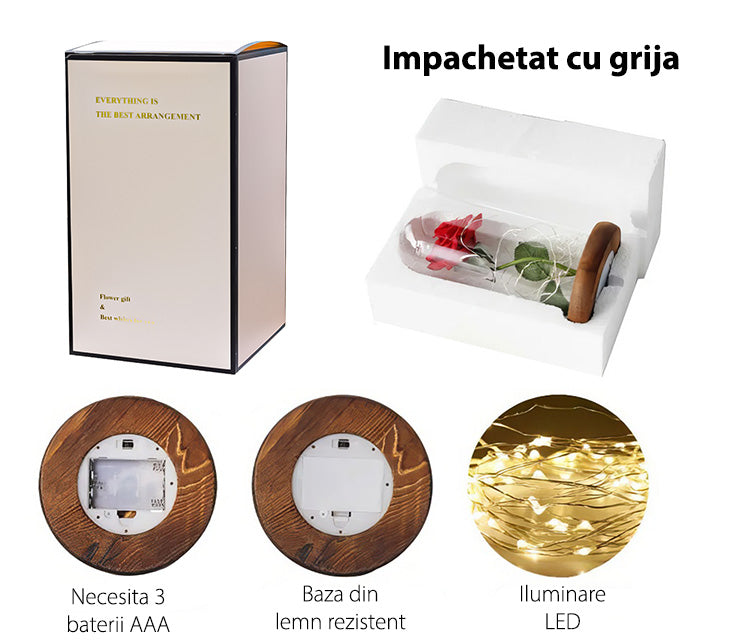 Aranjament Floral în Cupolă de Sticlă, Lumina Led, Diverse Culori ❘ D4010