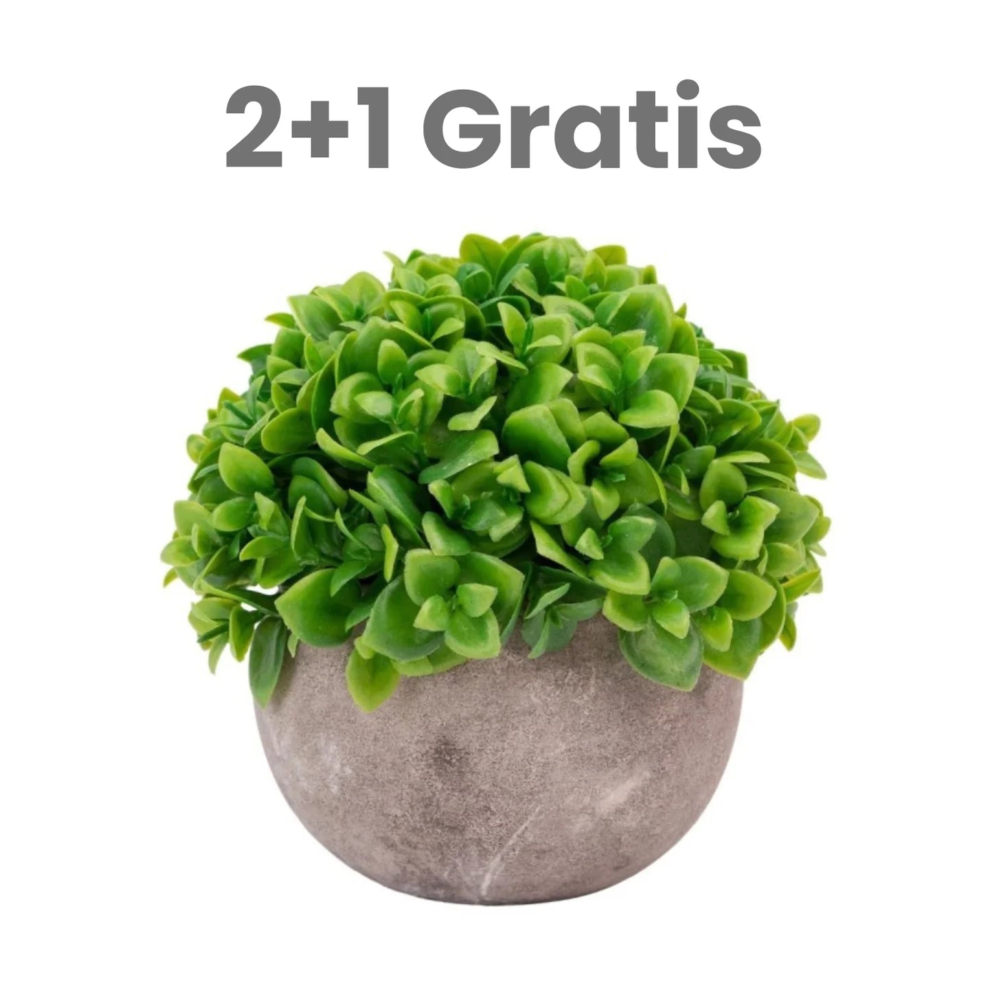 Pachet: 2 + 1 Gratis Plante Artificiale, 12 x 10 cm, Verde ❘ multiple modele