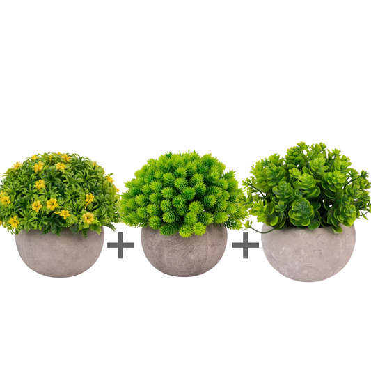 Pachet: 3 x Plante Artificiale, ghiveci de hârtie, 12x10 cm ❘ D6932 / D6935 / D6925