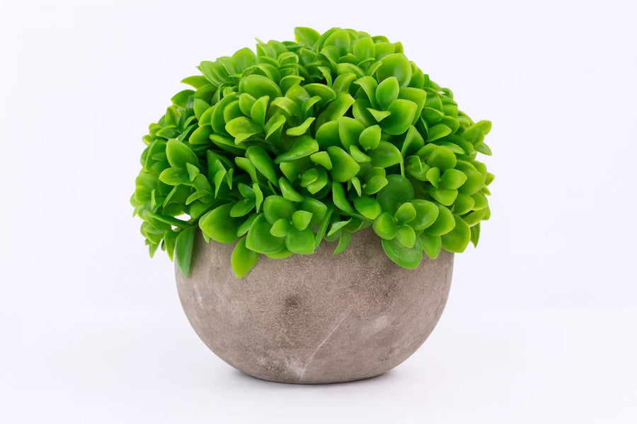 Pachet: 3 x Plante Artificiale, 12 x 10 cm, Verde ❘ D6933 / D6934 / D6935