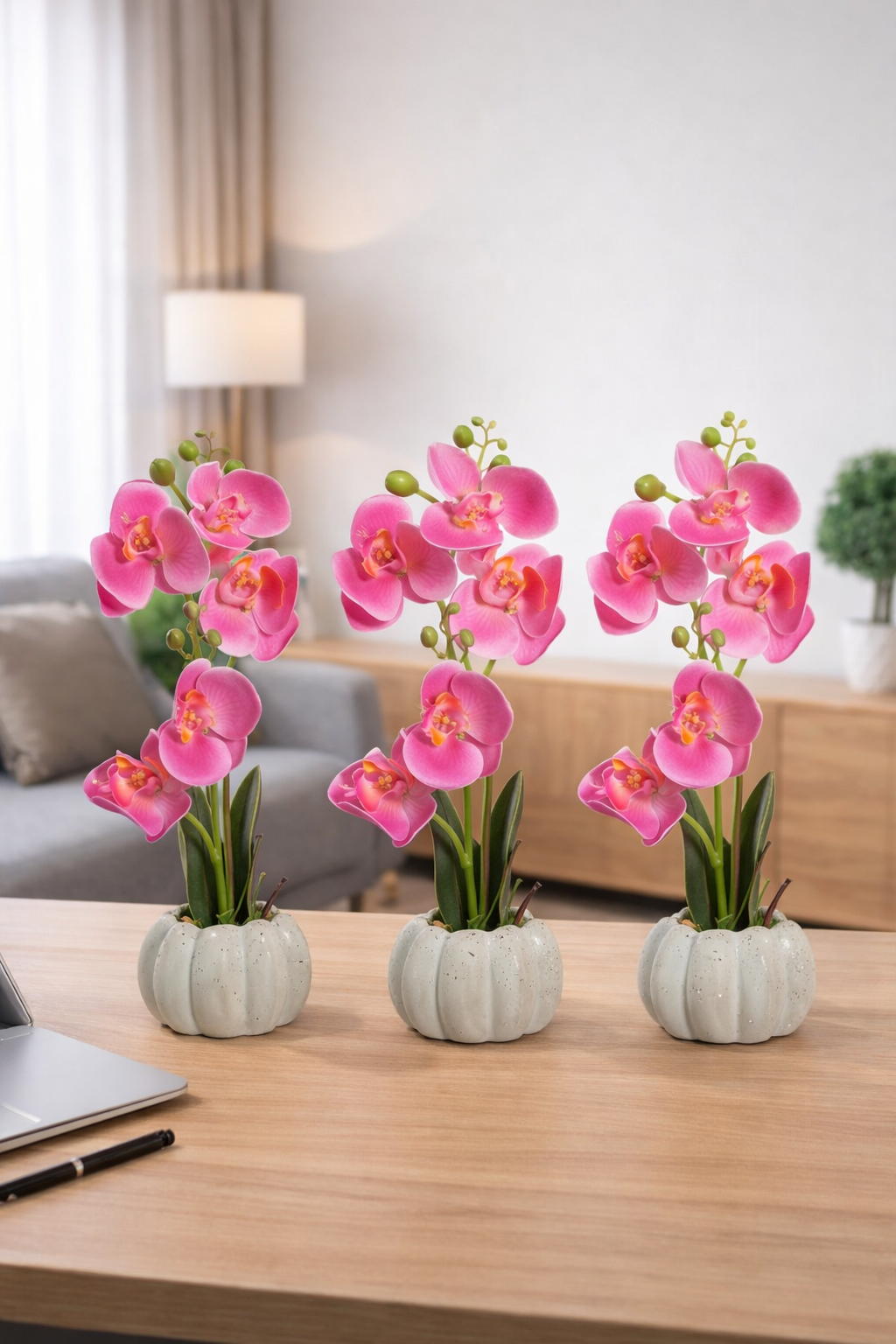 Pachet: 3 x Orhidee cu aspect natural în ghiveci ceramic, 30 cm, diverse culori ❘ D4856