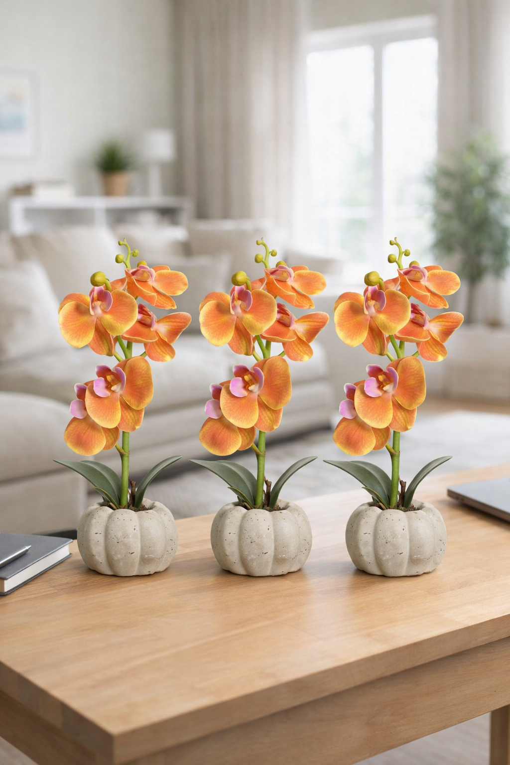 Pachet: 3 x Orhidee cu aspect natural în ghiveci ceramic, 30 cm, diverse culori ❘ D4856