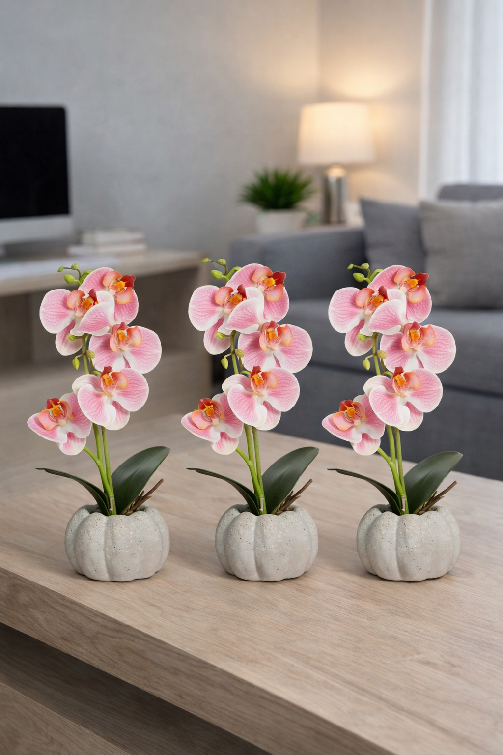 Pachet: 3 x Orhidee cu aspect natural în ghiveci ceramic, 30 cm, diverse culori ❘ D4856