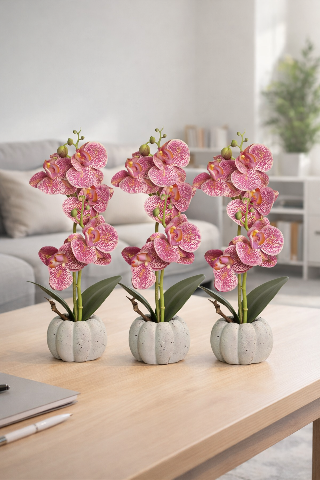 Pachet: 3 x Orhidee cu aspect natural în ghiveci ceramic, 30 cm, diverse culori ❘ D4856